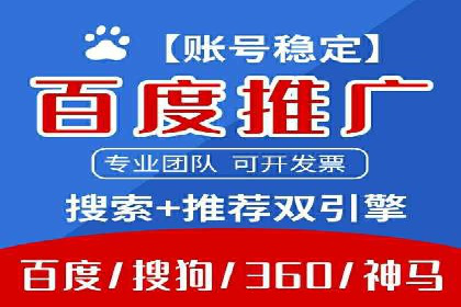 顶尖SEM竞价代运营公司案例分析